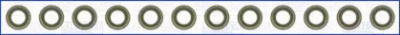 WILMINK GROUP wg1169937 -